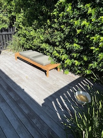 Overgrown courtyard and random bowl of dirty water.