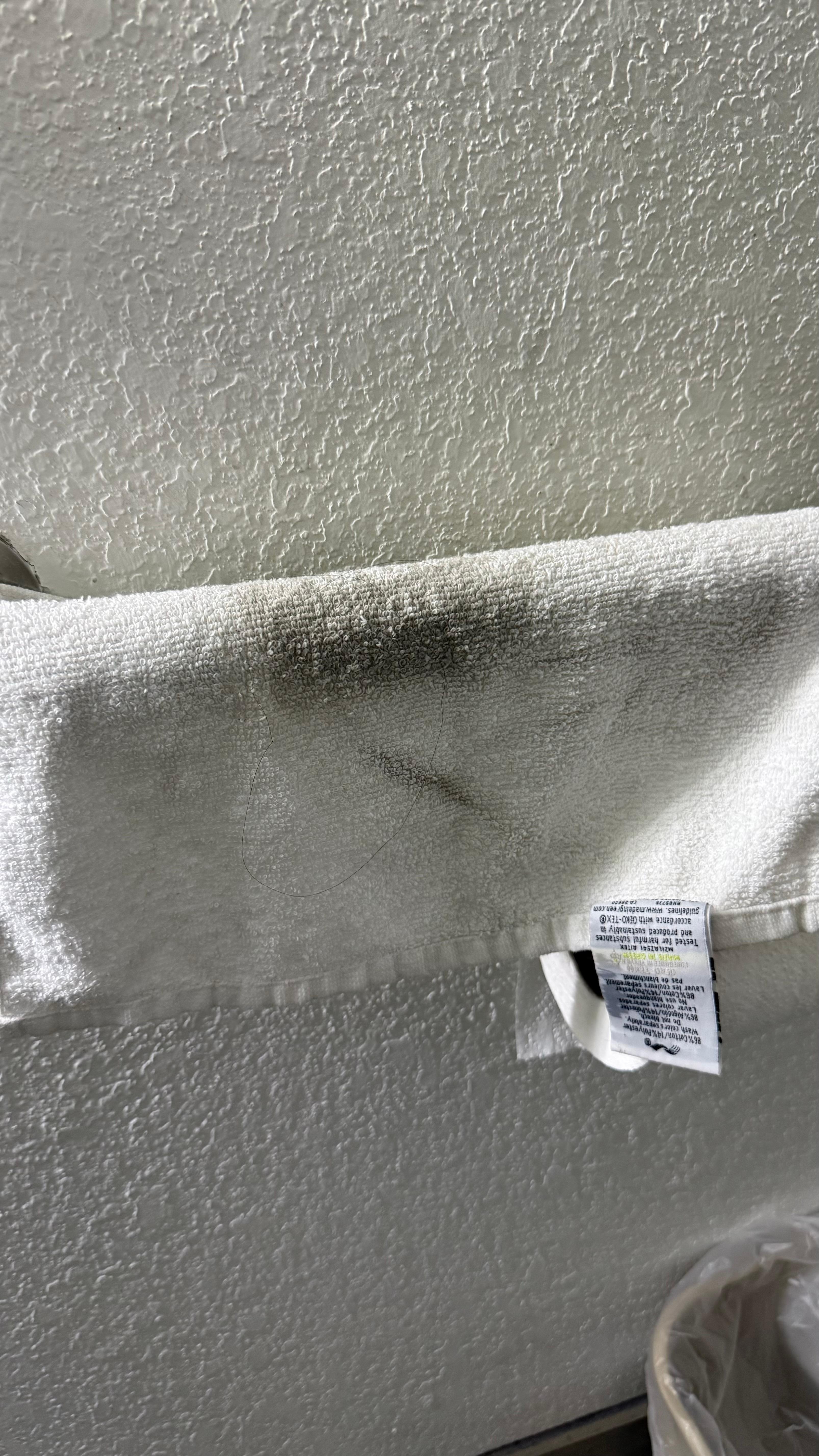 Dies nachdem wir Wasser auf dem Boden wegputzen wollten.