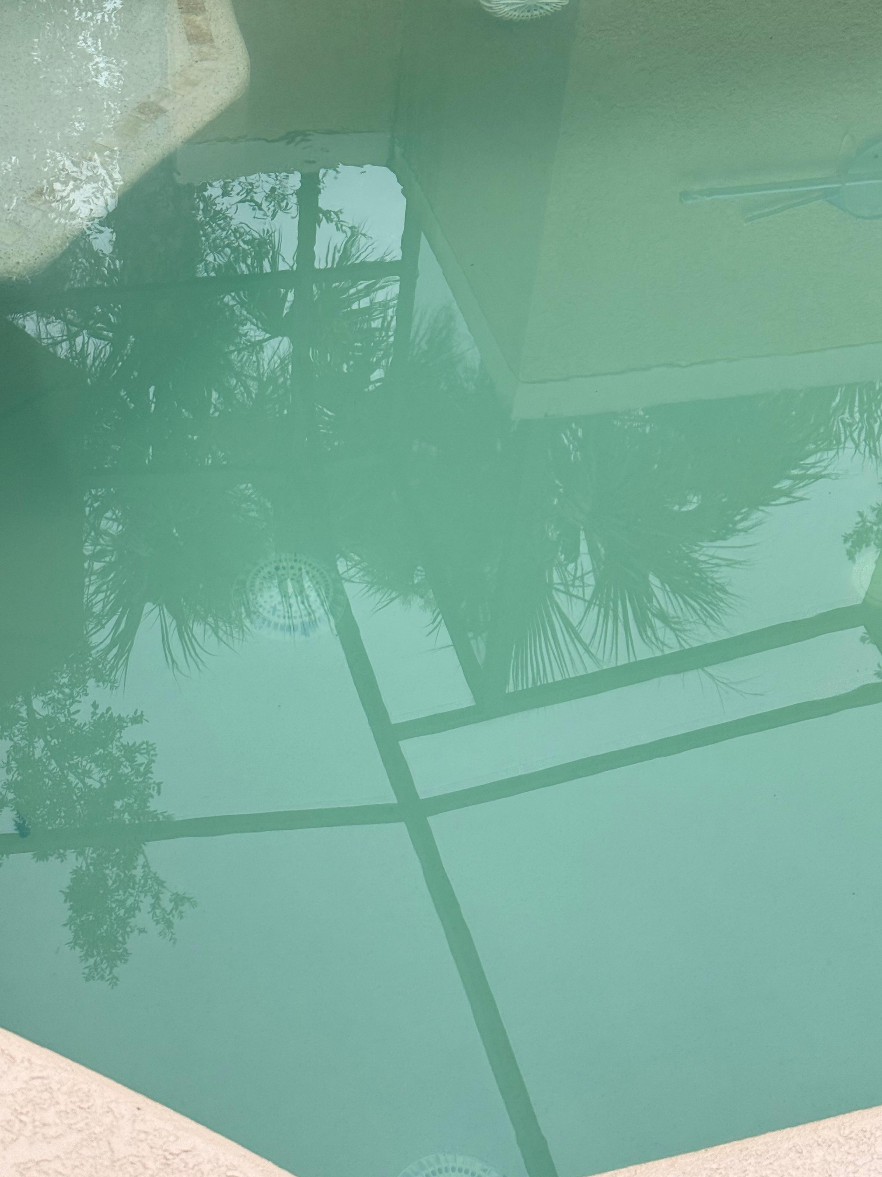 Water was very cloudy with lots of stuff in the pool 