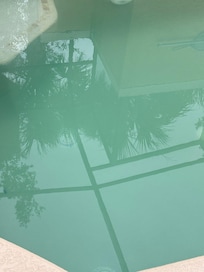 Water was very cloudy with lots of stuff in the pool