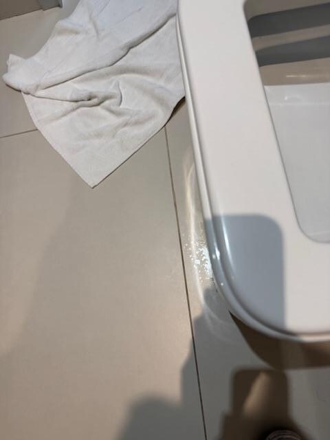 You can clearly see the pee under the toilet.