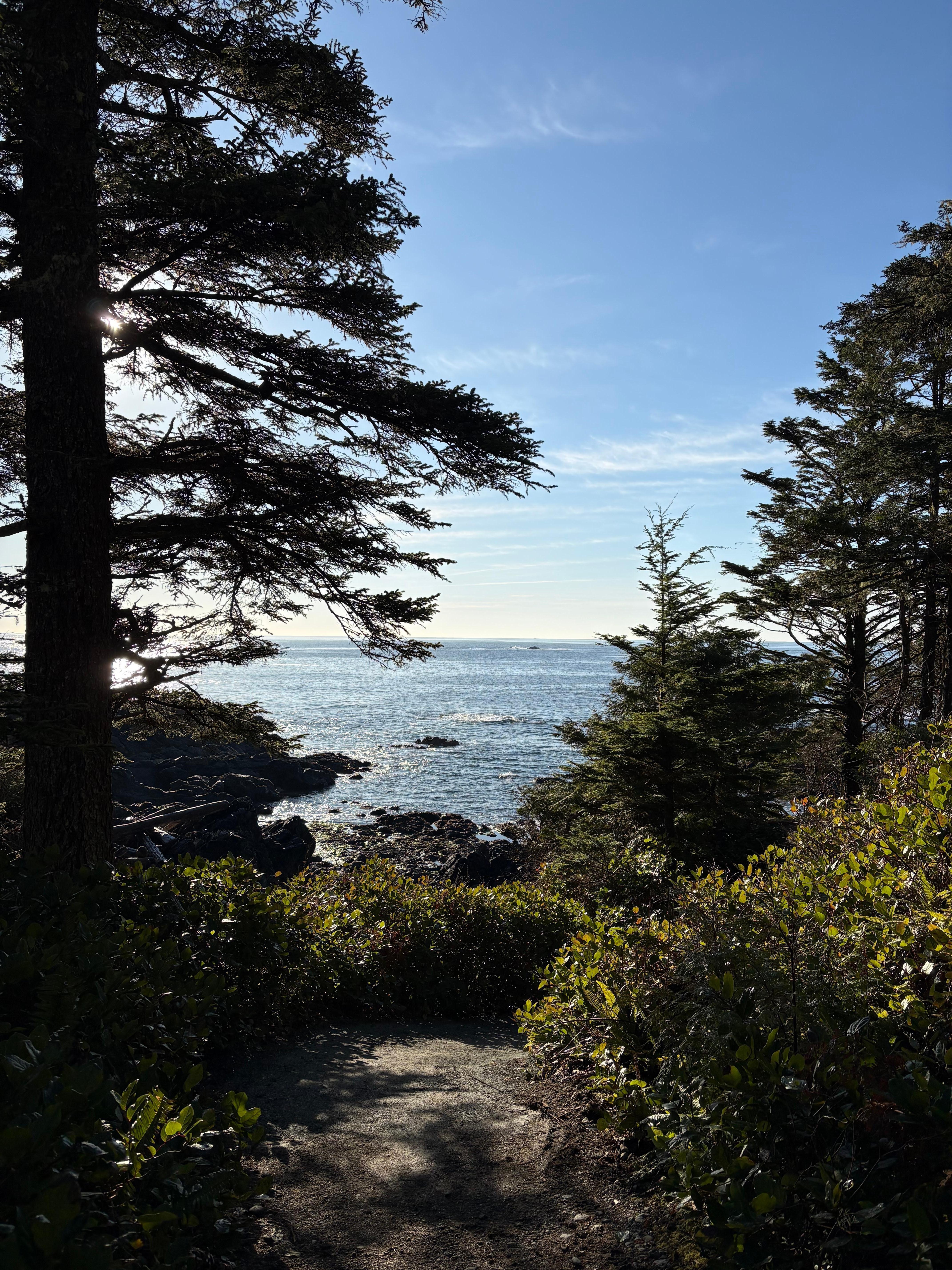 The Wild Pacific Trail. 