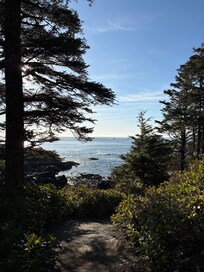 The Wild Pacific Trail.