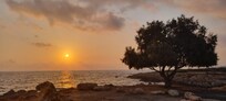 Sunset from Sea Caves Restaurant (Excellent location, food and service)