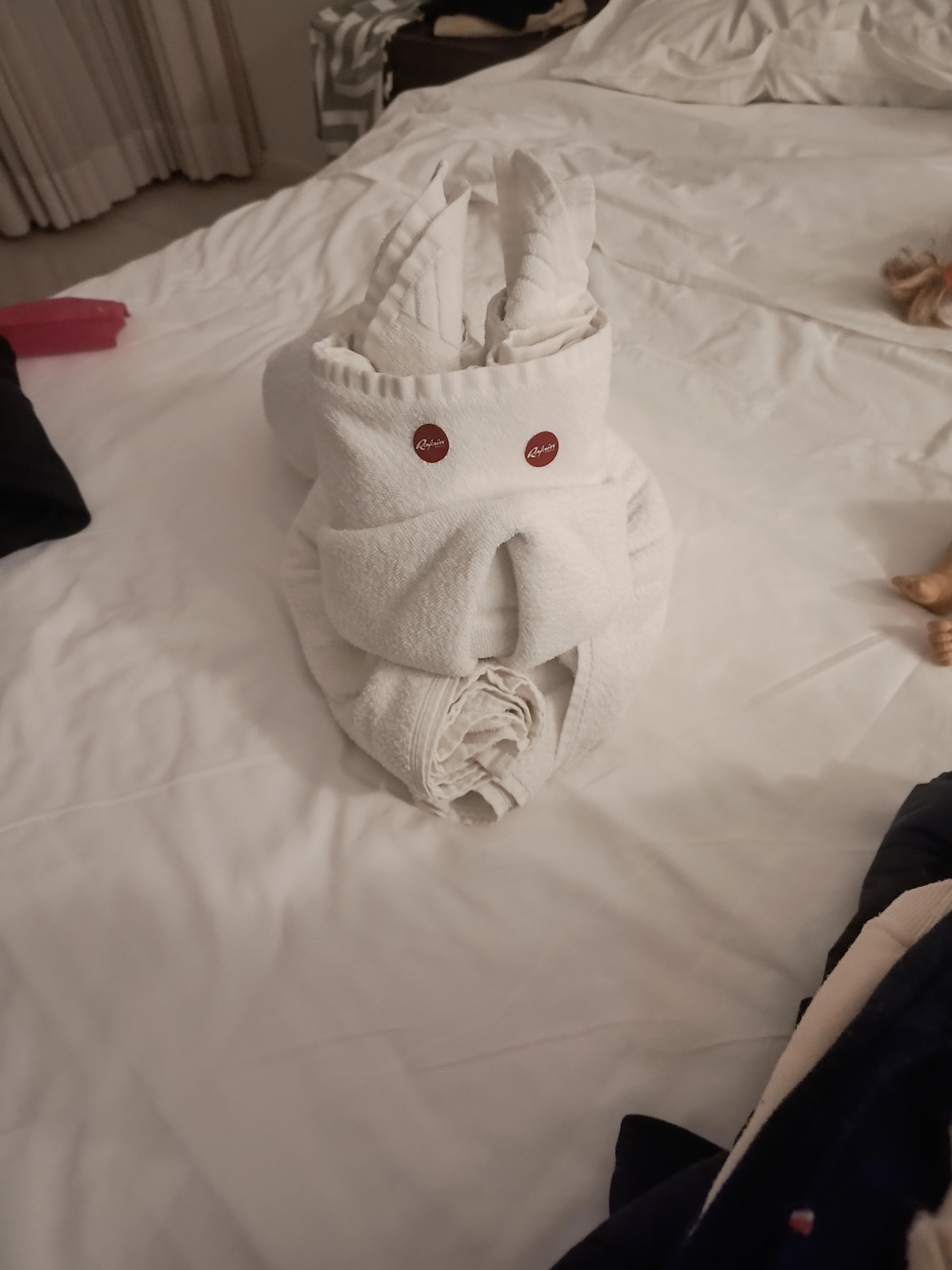 Cada dia tinha um bichinho esperando as crianças, cuidados que fazem a diferença. 