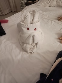 Cada dia tinha um bichinho esperando as crianças, cuidados que fazem a diferença.