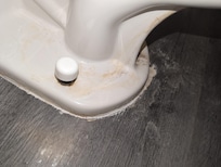 The toilet. I don't think much else needs to be said. You can clearly see stuff on there and that it's disgusting and it very easily could be cleaned.