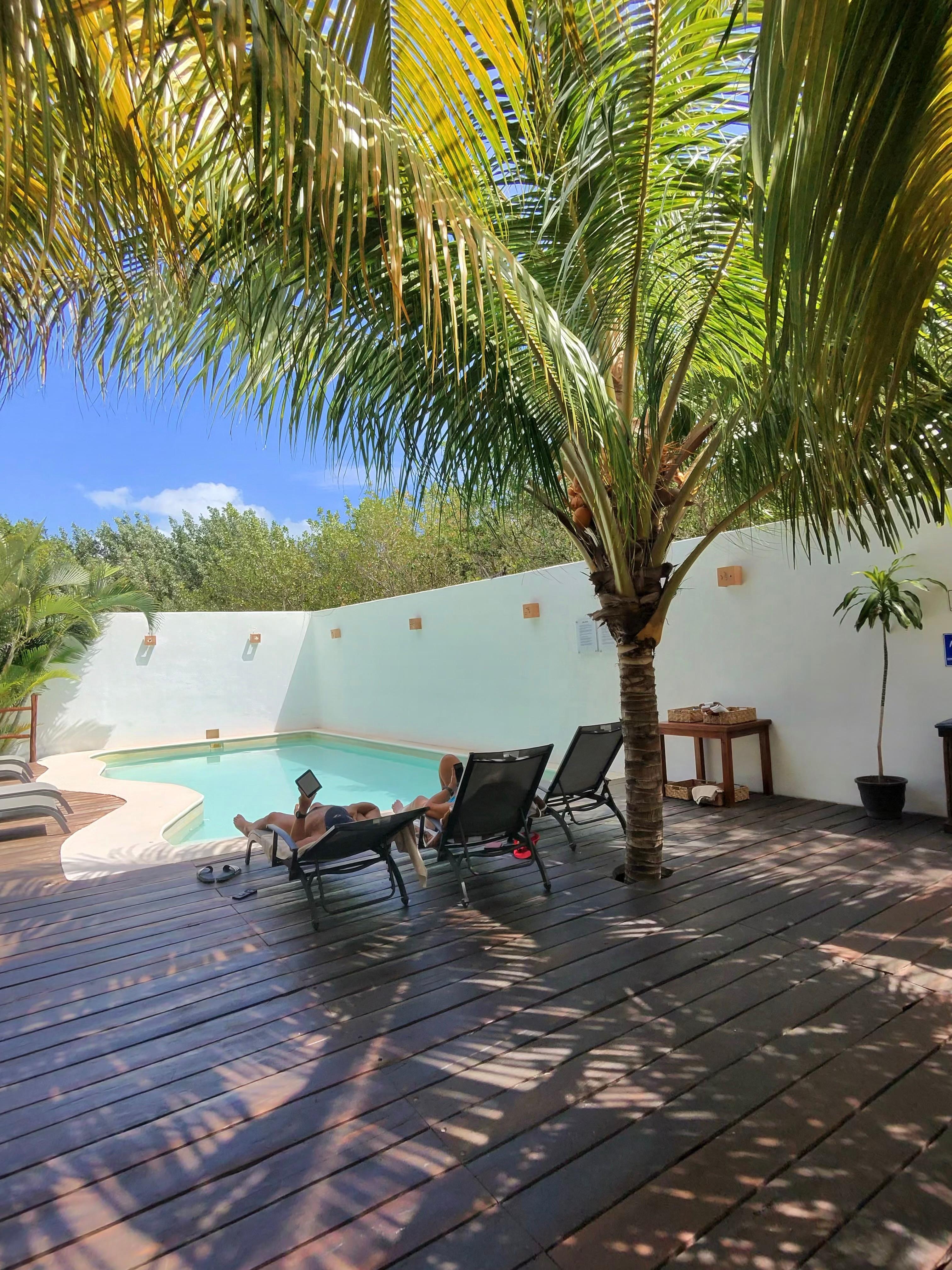 Pool area. Very relaxing and clean 
