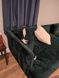Torn sofa pillows