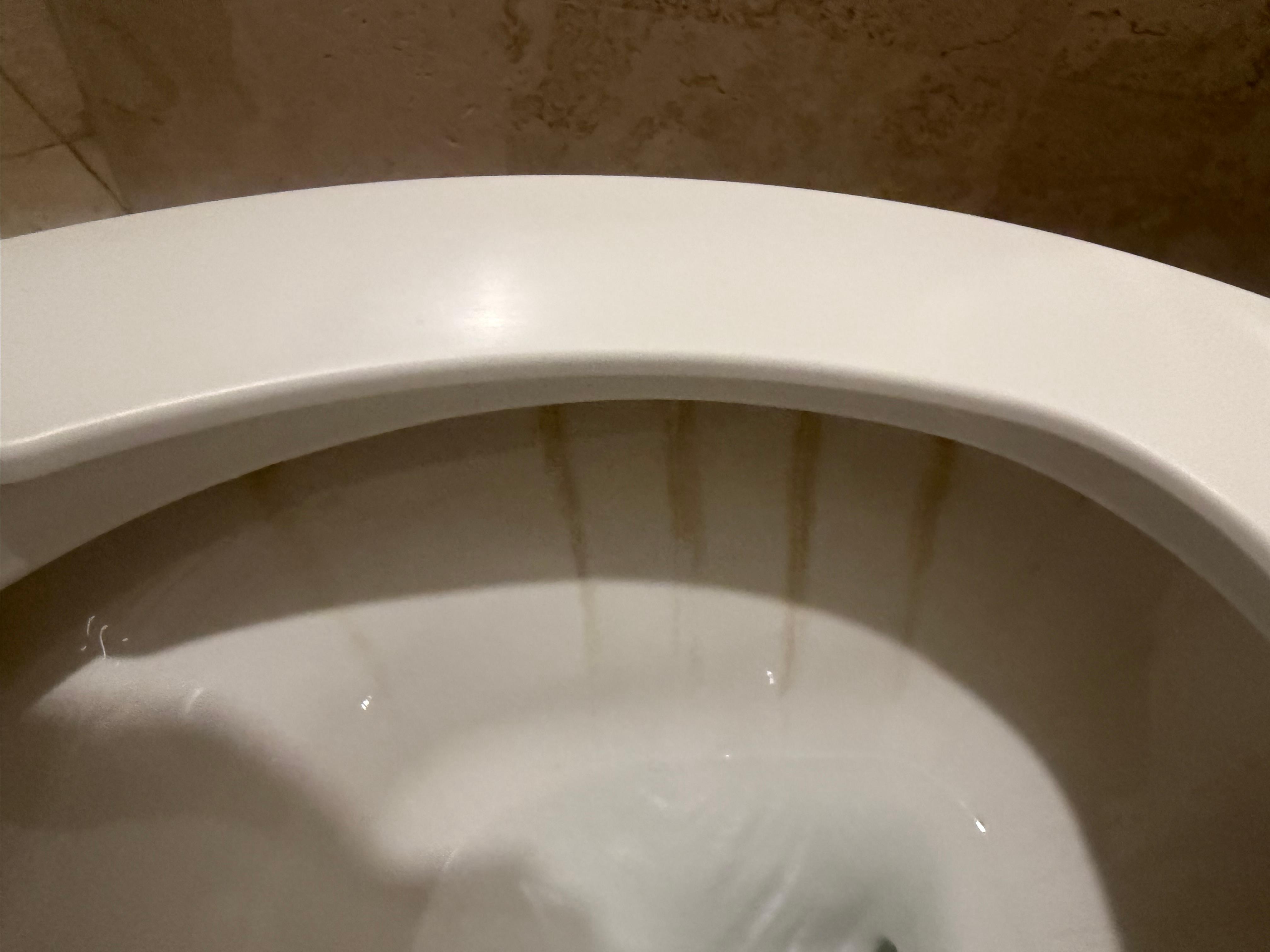 Sanitario con muchísimo sarro 