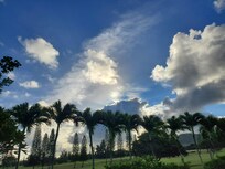 Enjoying the view on lanai.