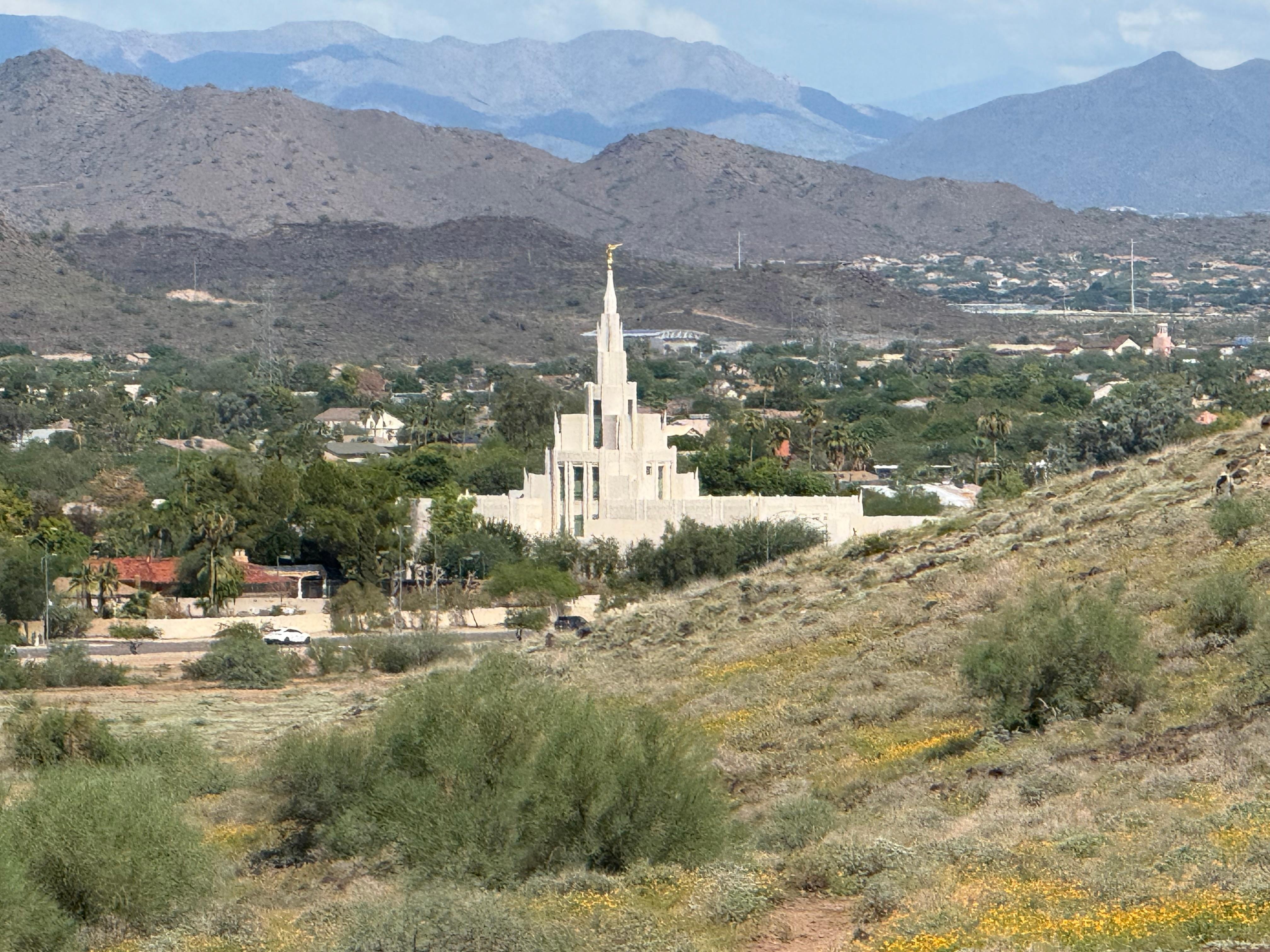 Beautiful view from our much needed restful hike near the apartment. 