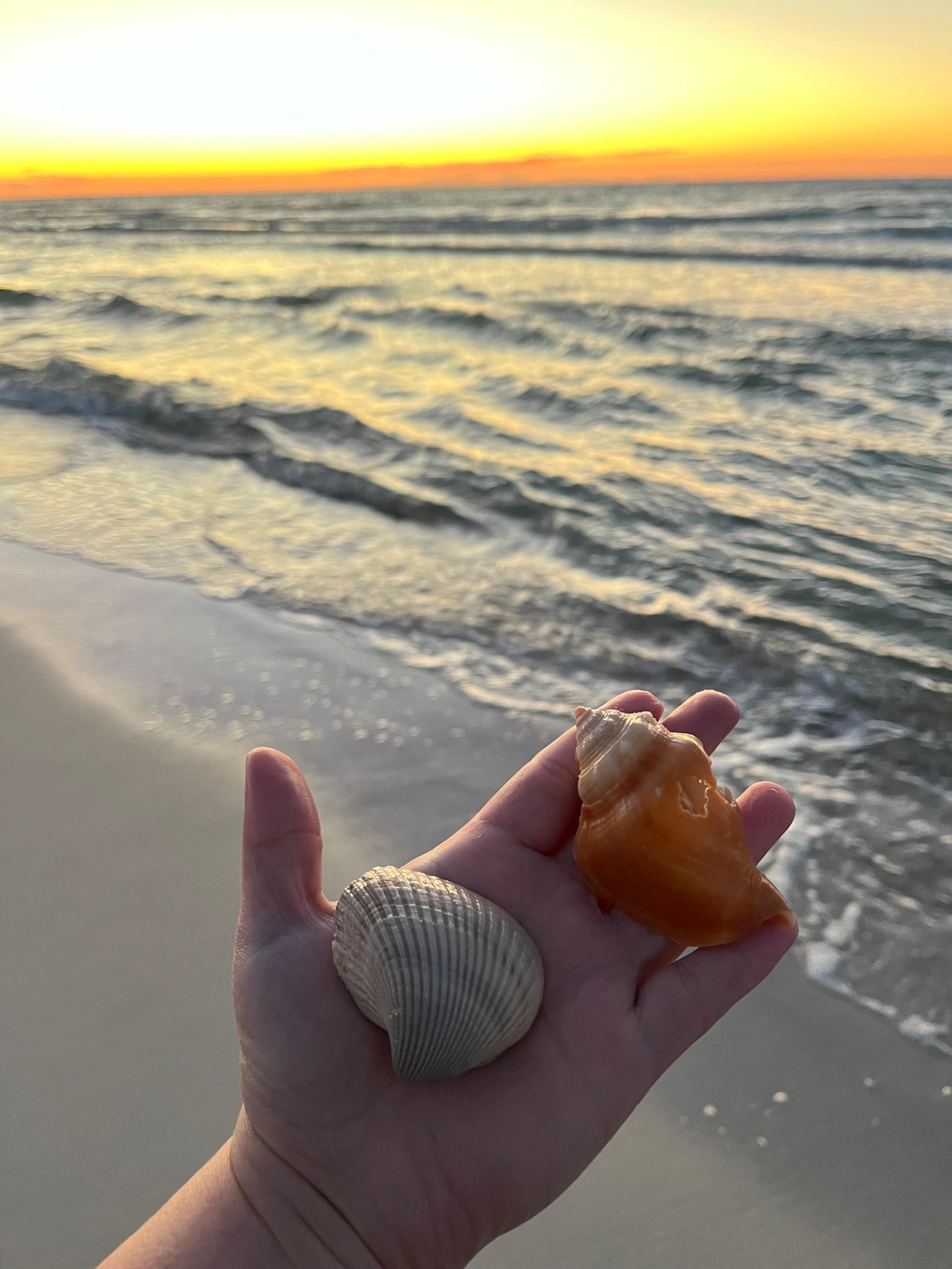 Our “back yard” :)