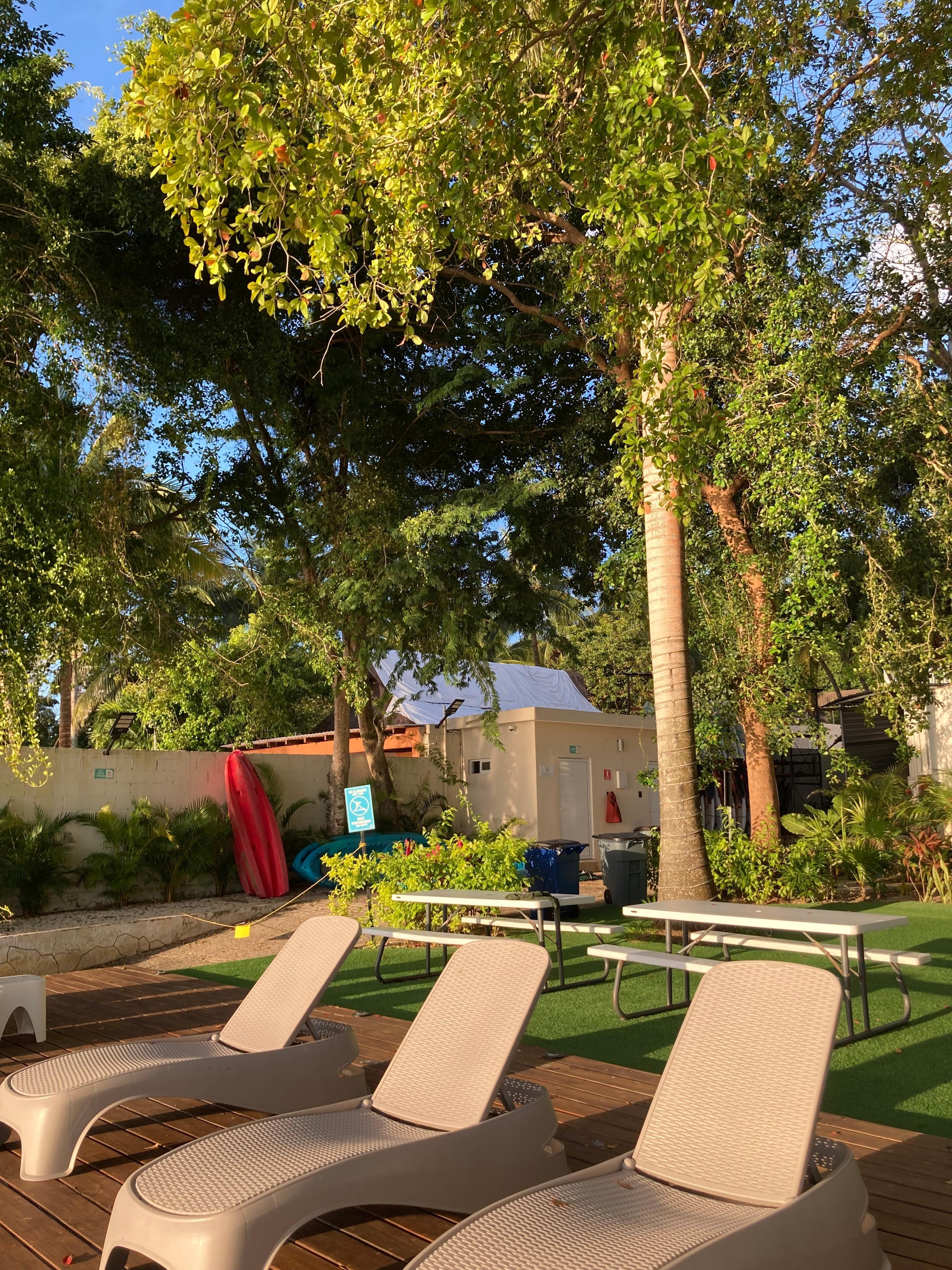 Zona de camastros a la orilla de la laguna 