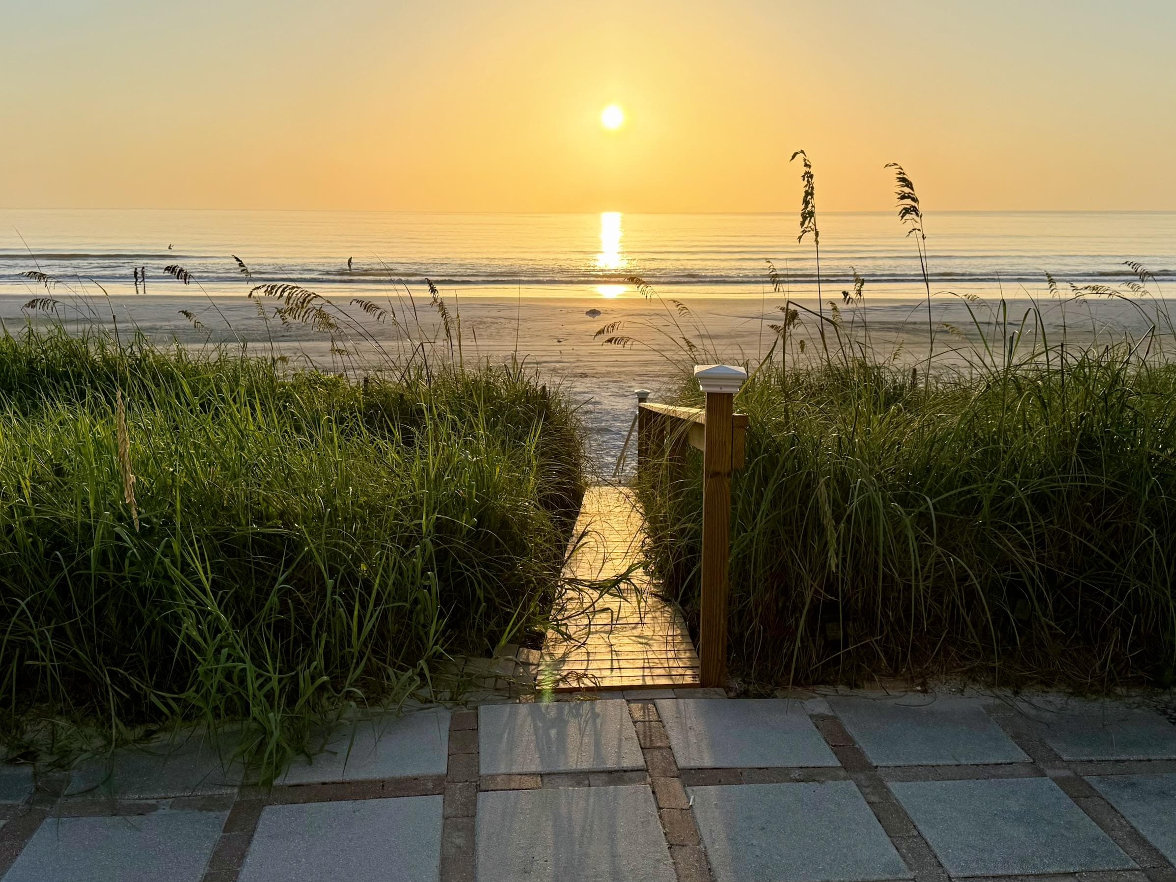Sunrise from the back deck. 