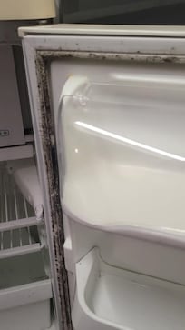Mold on fridge door.
