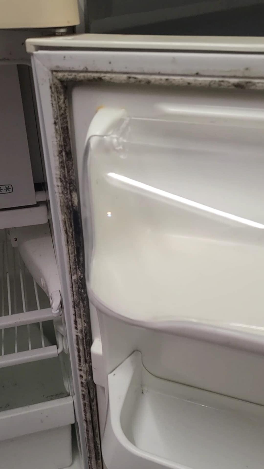 Mold on fridge door.