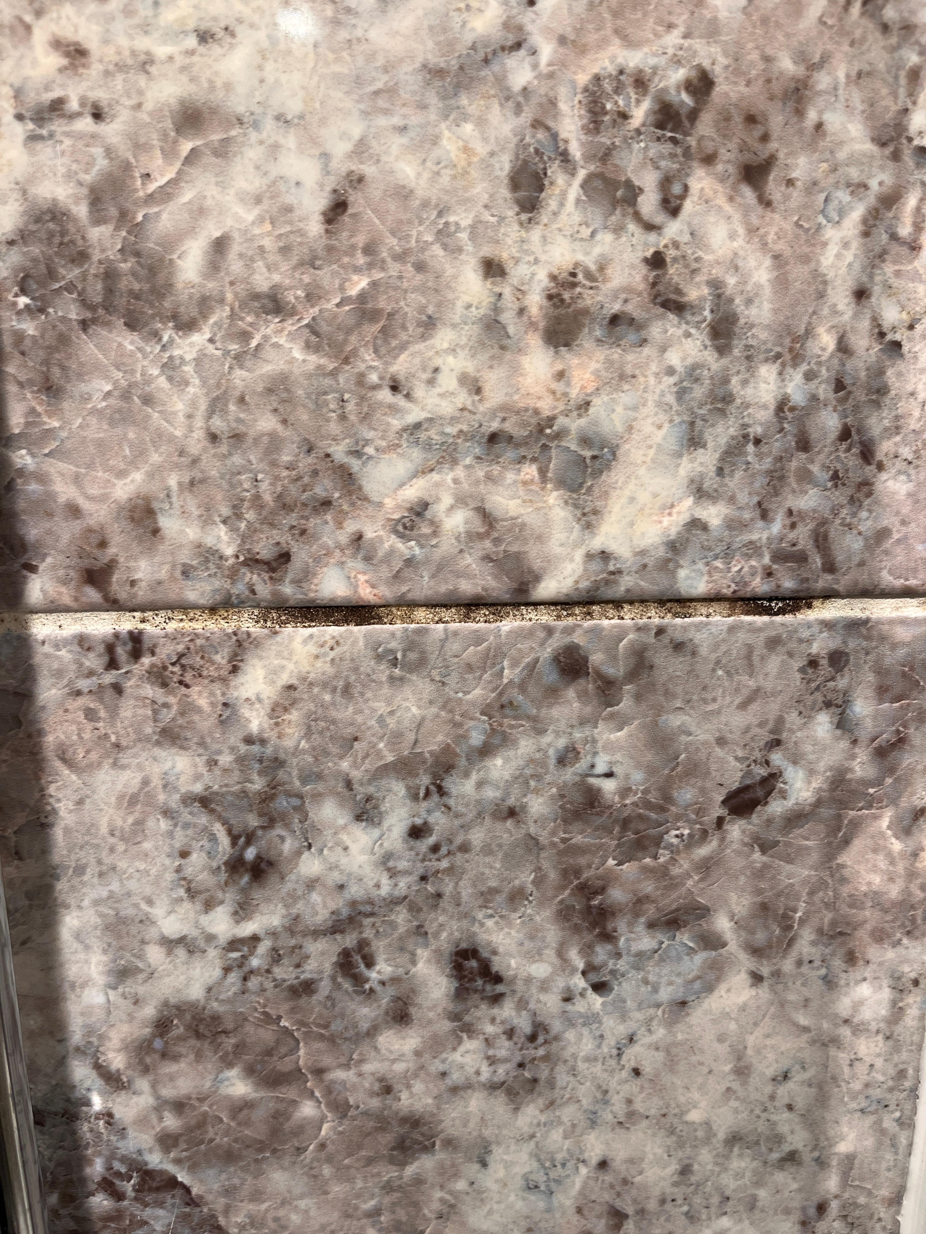 Mouldy grout in shower