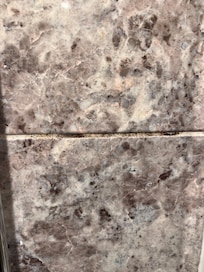 Mouldy grout in shower