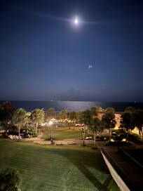 Moon lite Gulf