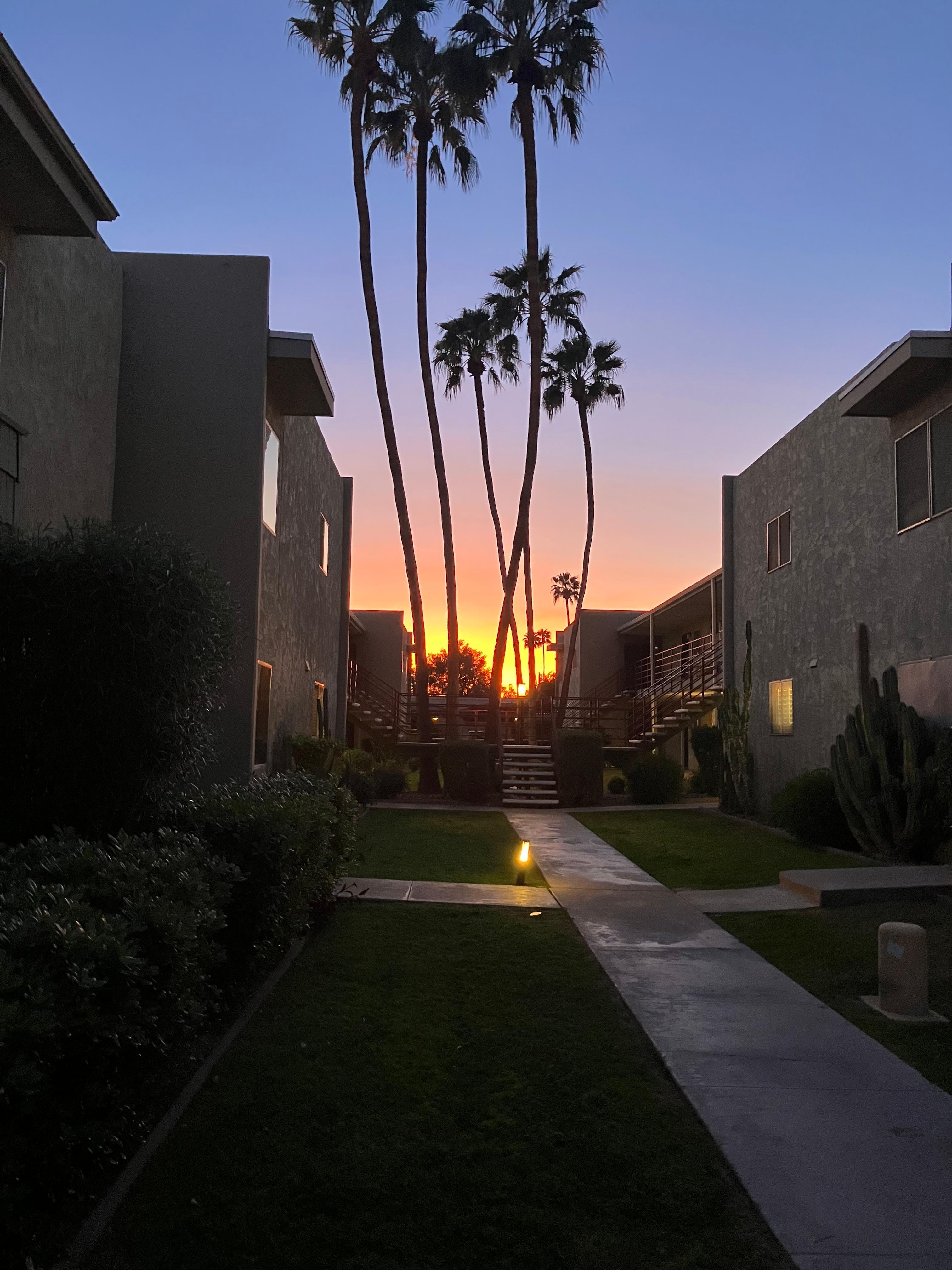 Sunset from the patio 