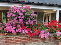 Beautiful baskets!