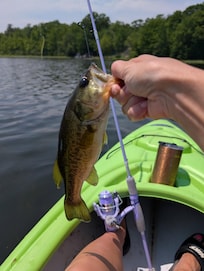 Just 1 of the many fish we caught.