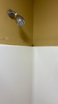Black mole in the shower