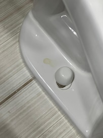 Urine on toilet base