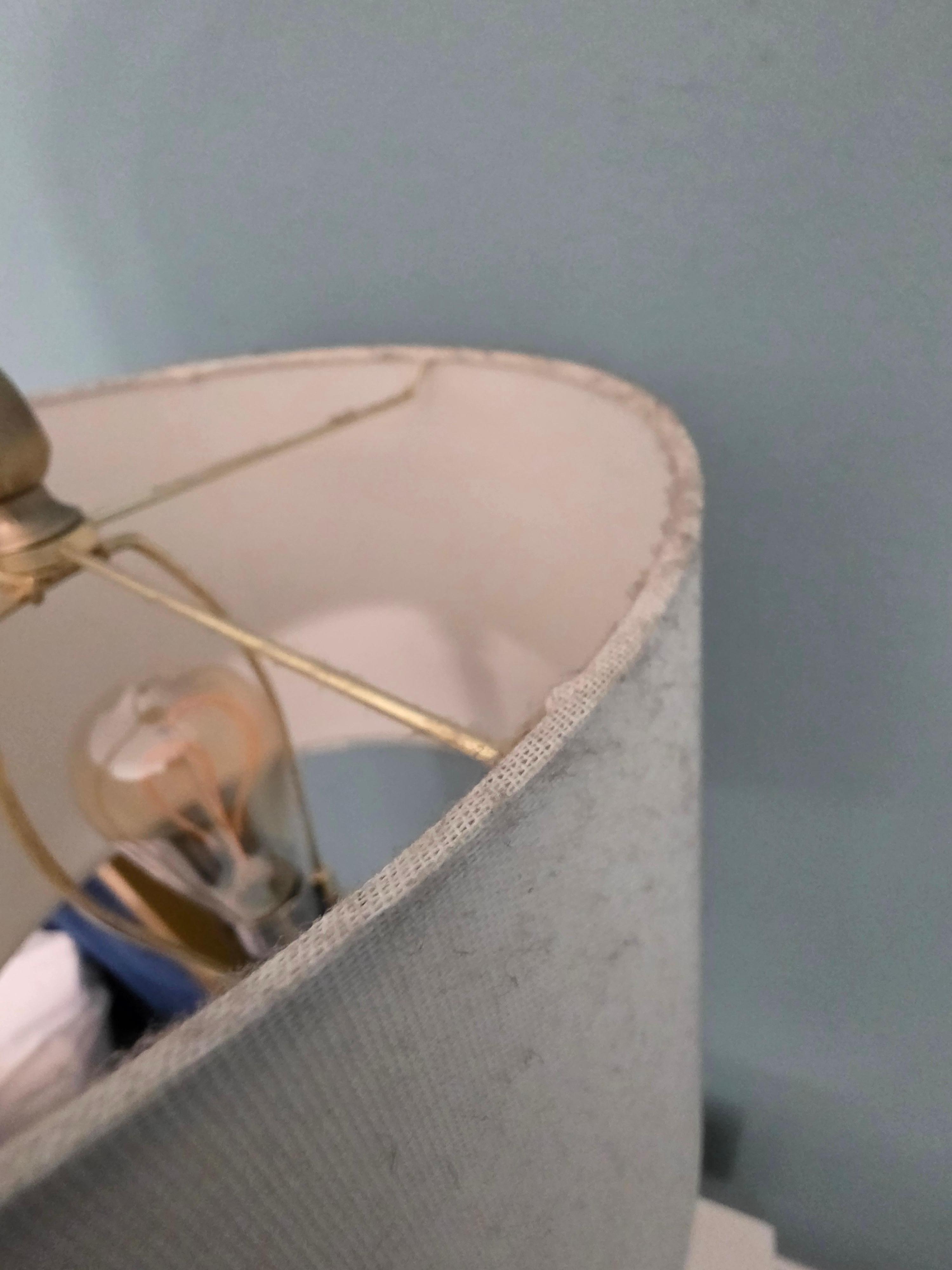 Dust from the lampshade in the master bedroom.  