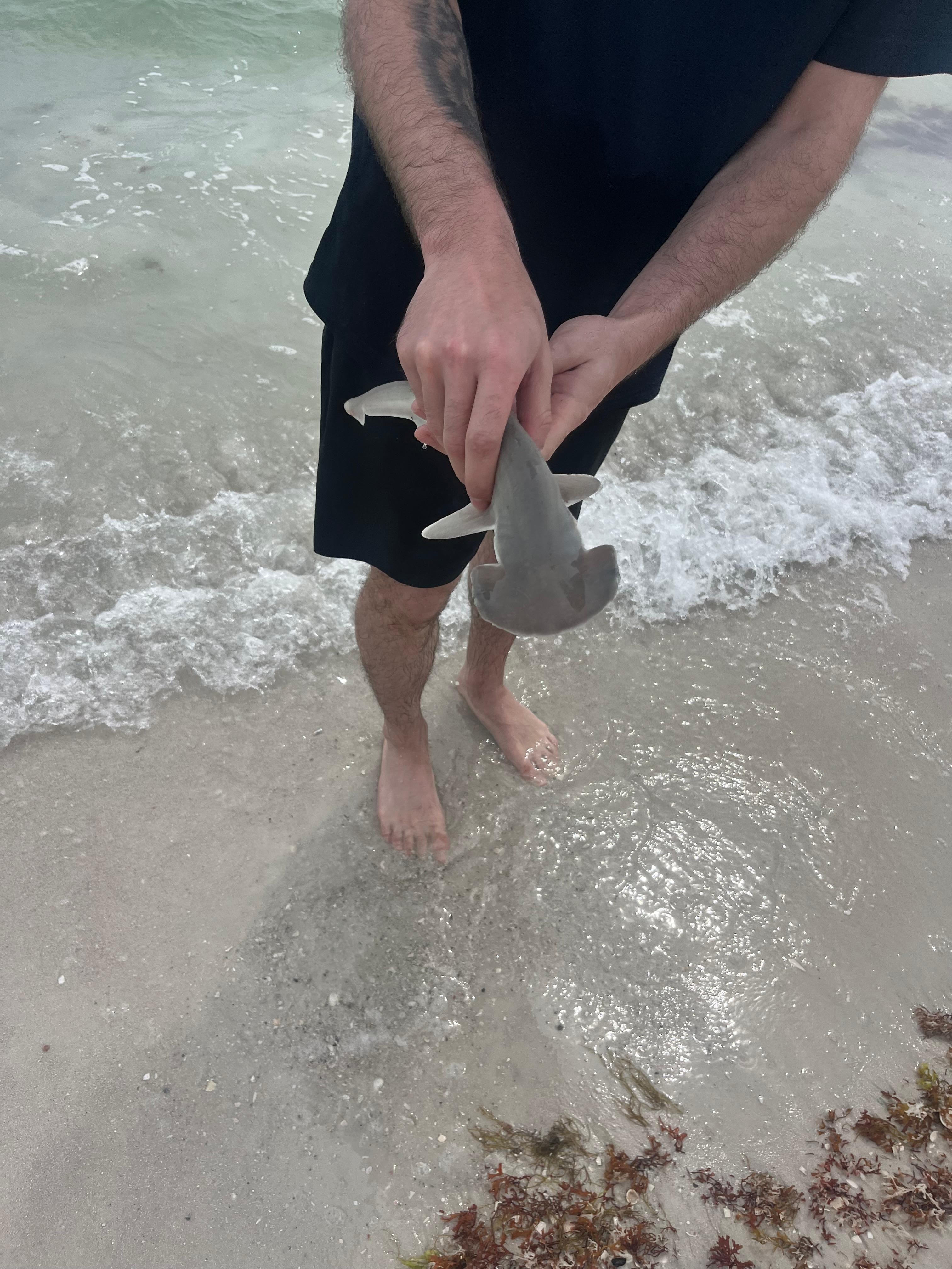 Local fisherman’s catch