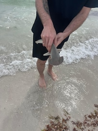 Local fisherman’s catch