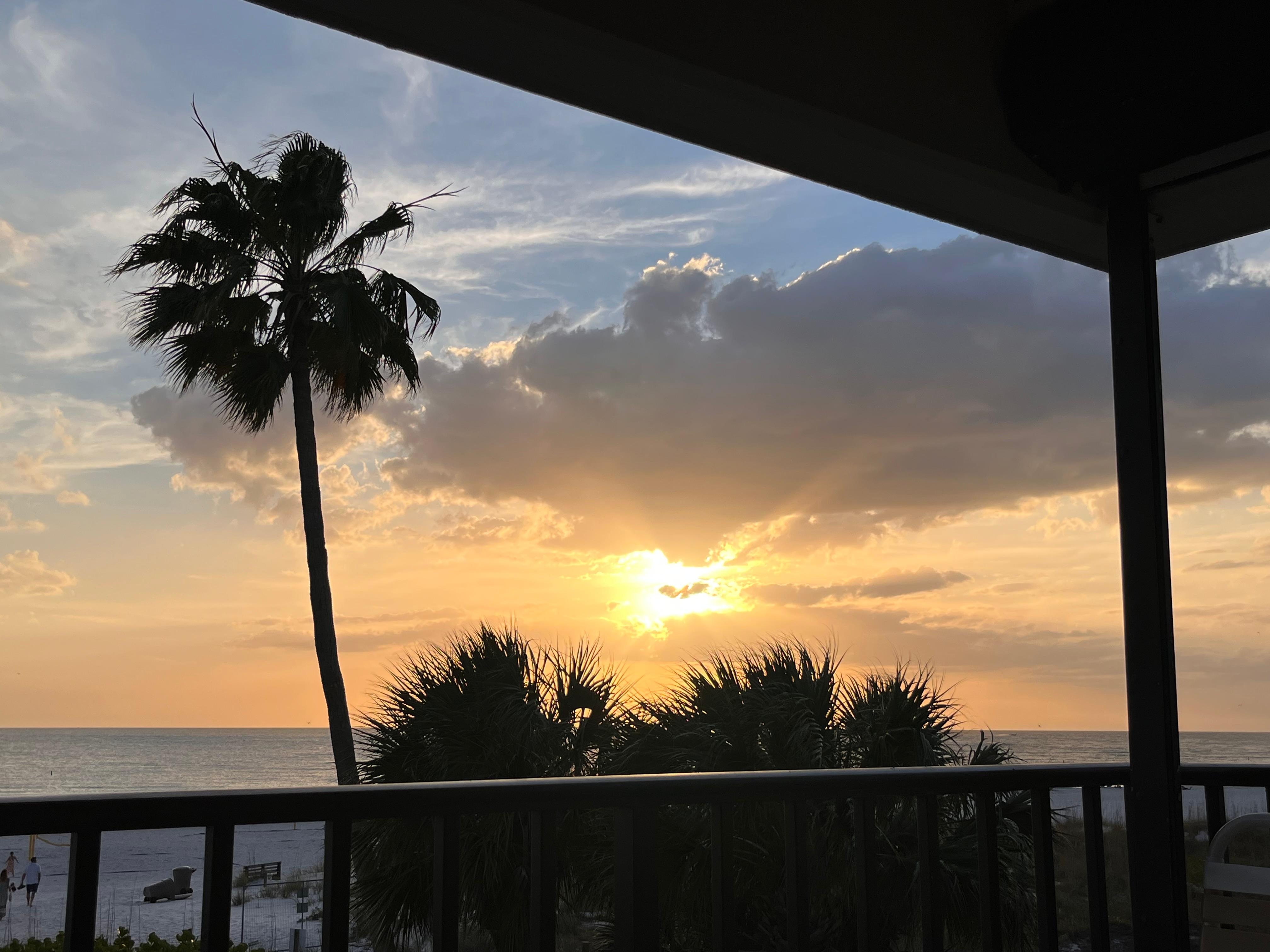Sunsets are so pretty with palms