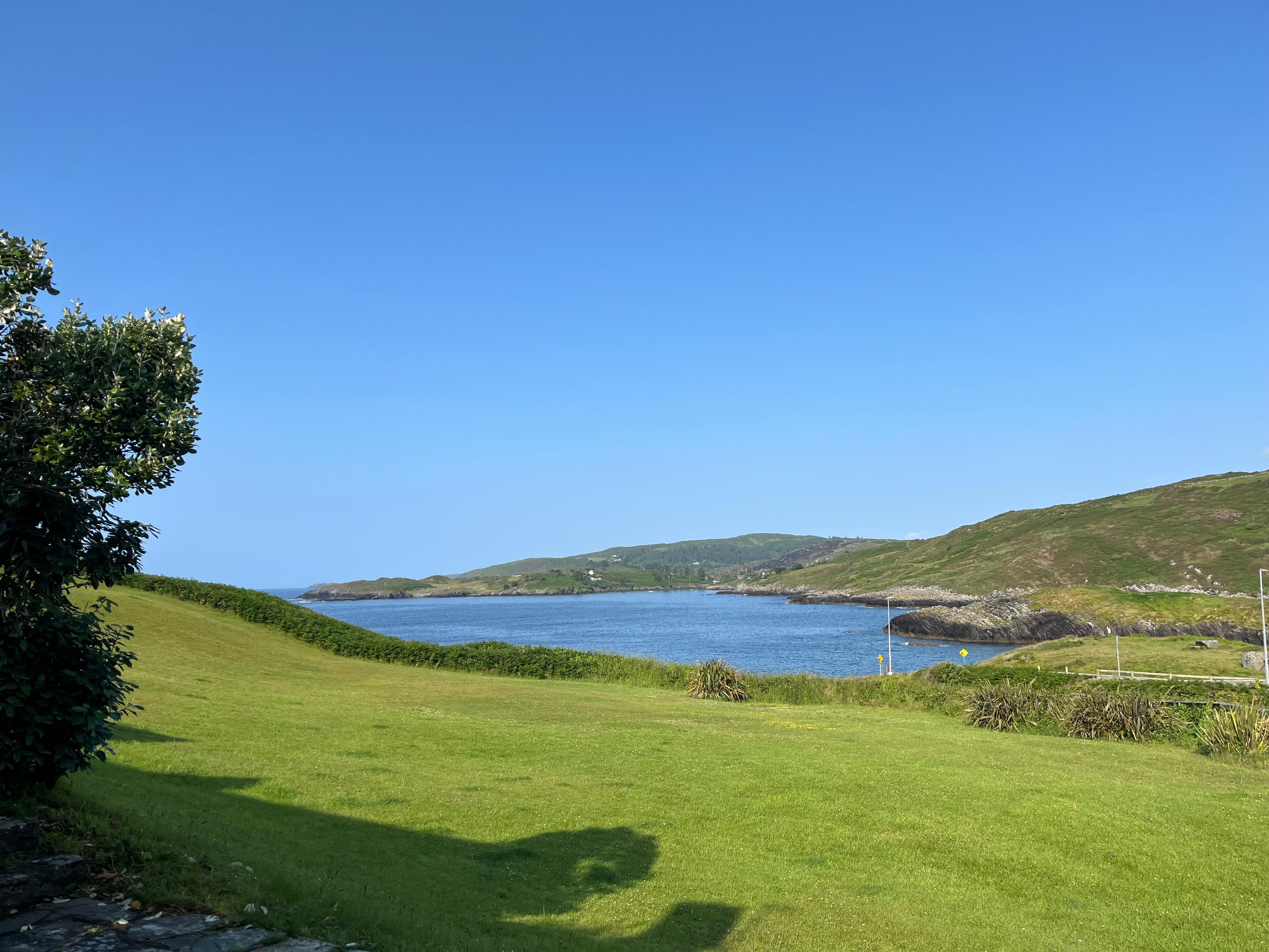 View from back door