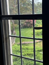 Branches down view from house