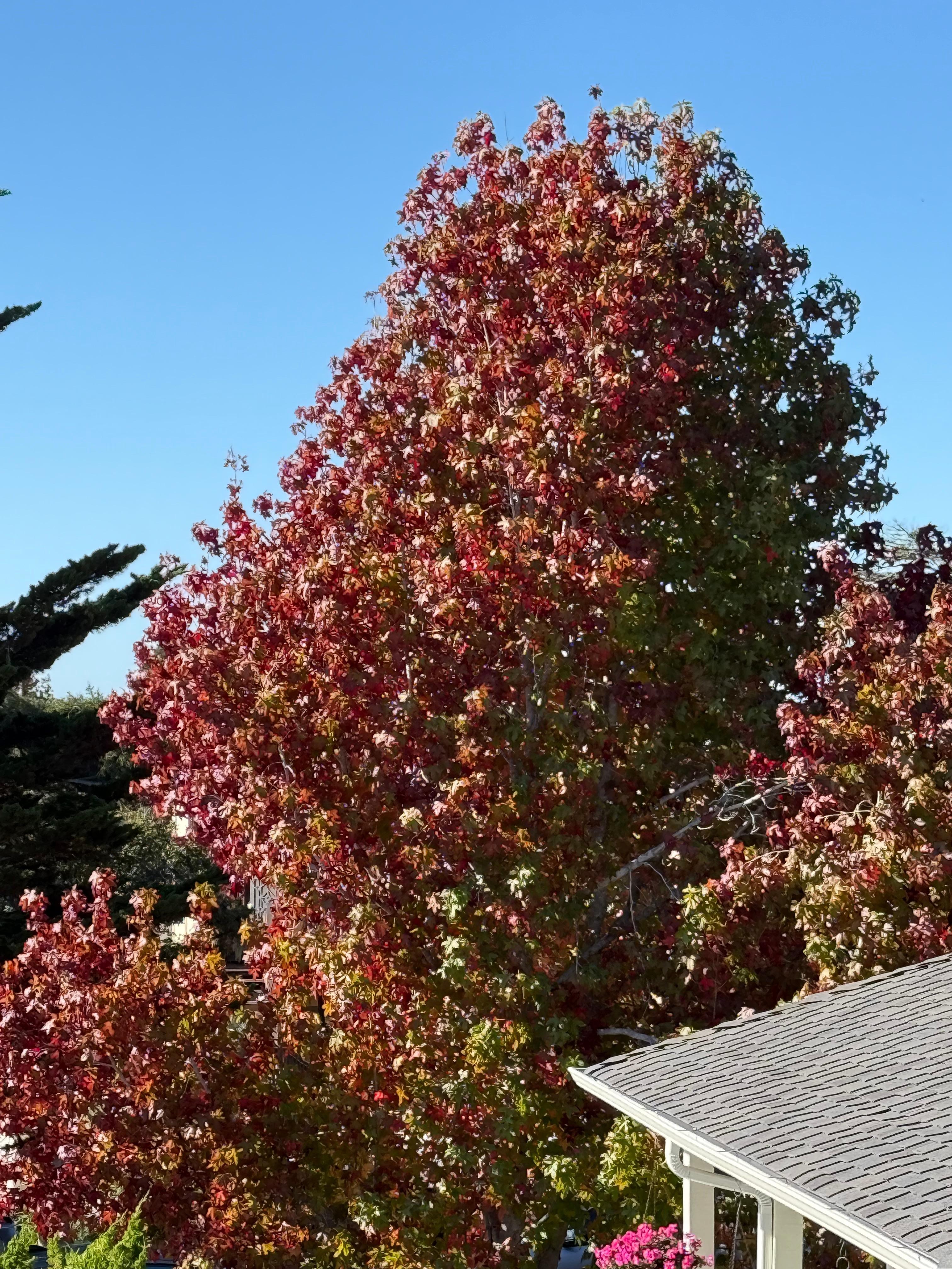 View from second floor 