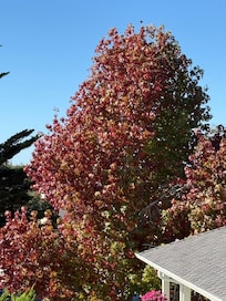 View from second floor