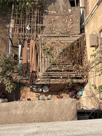 View outside my window. It’s a chicken coop. And they woke us up every morning by 6am