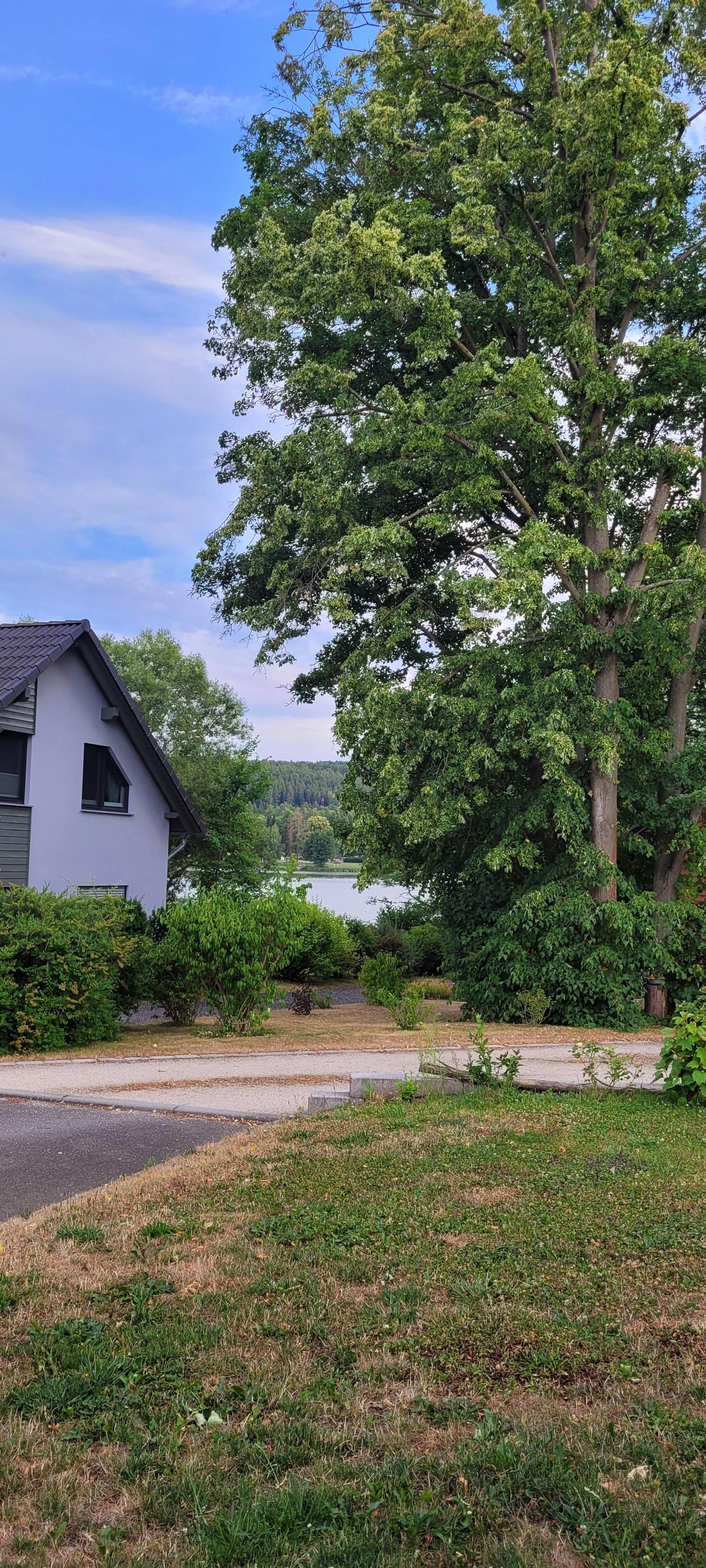 Blick von der Terasse auf den Stausee