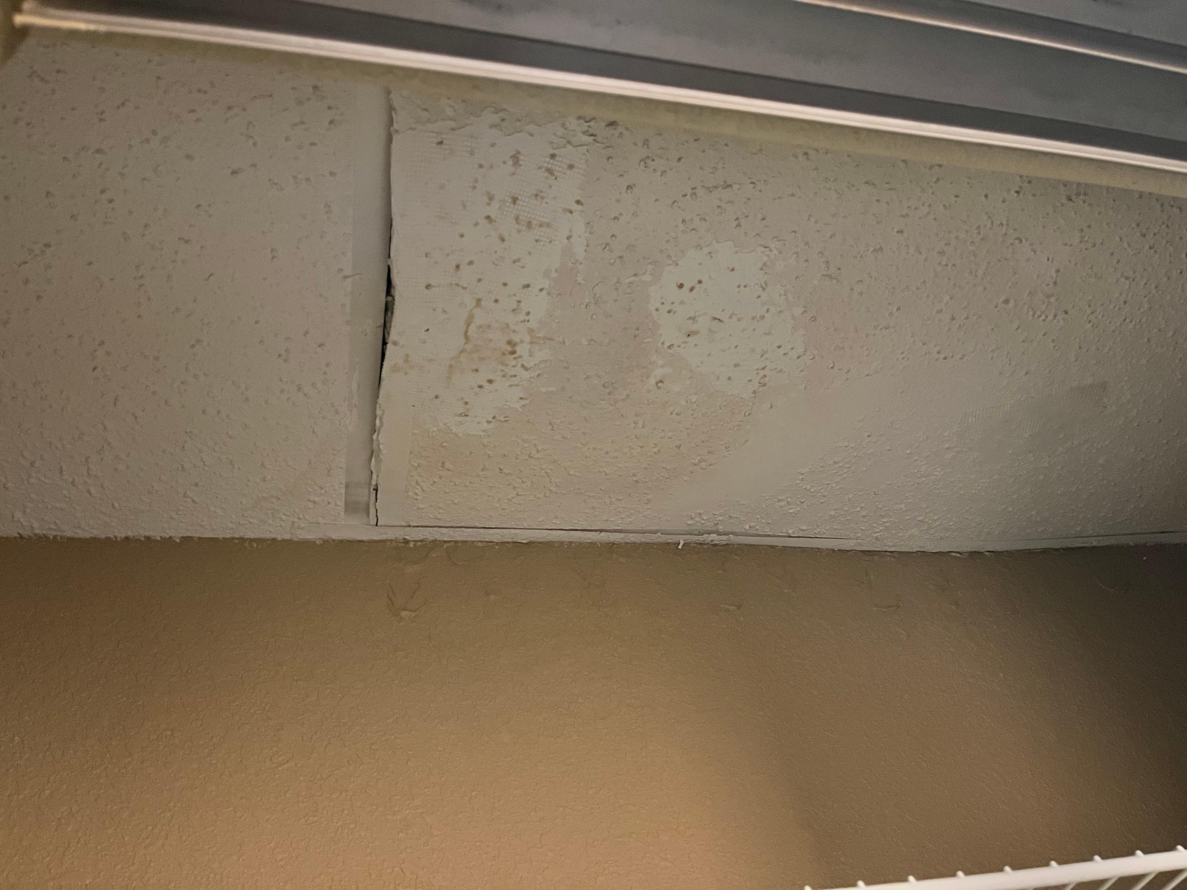 Ceiling of closet in second room offered to us.