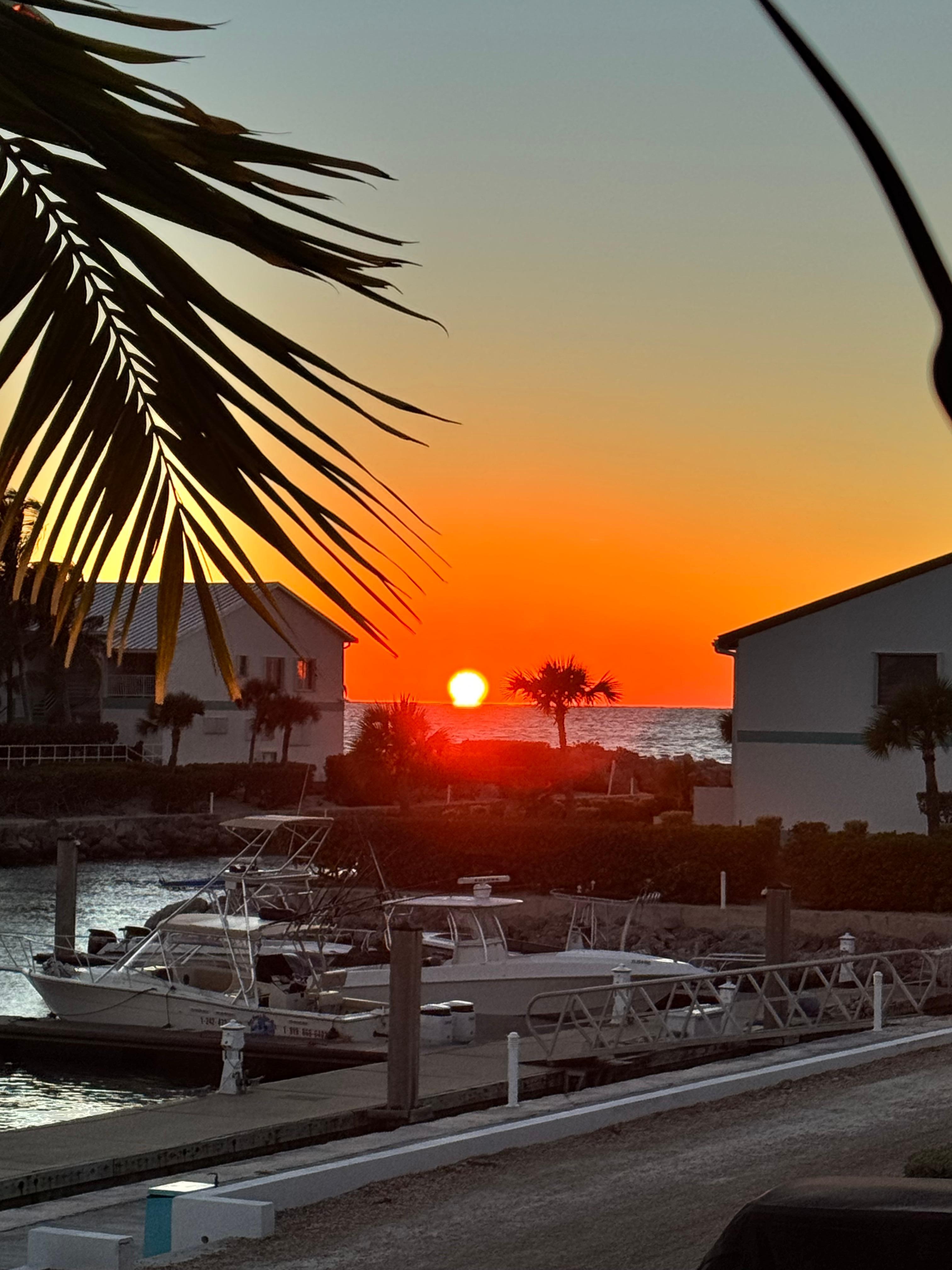 View from front patio