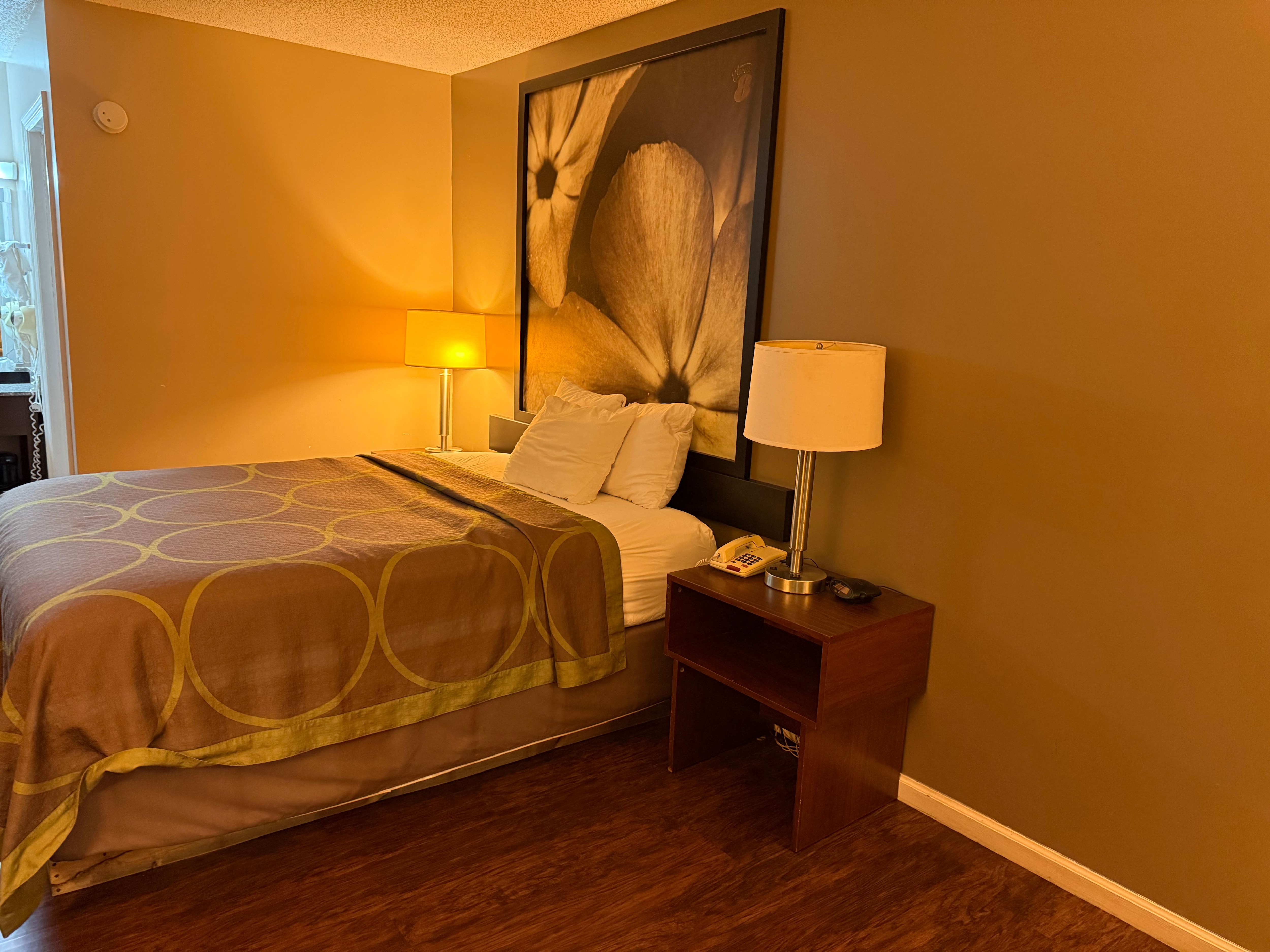 Dim lit room. Lamps shades and base of lamps rusted. 