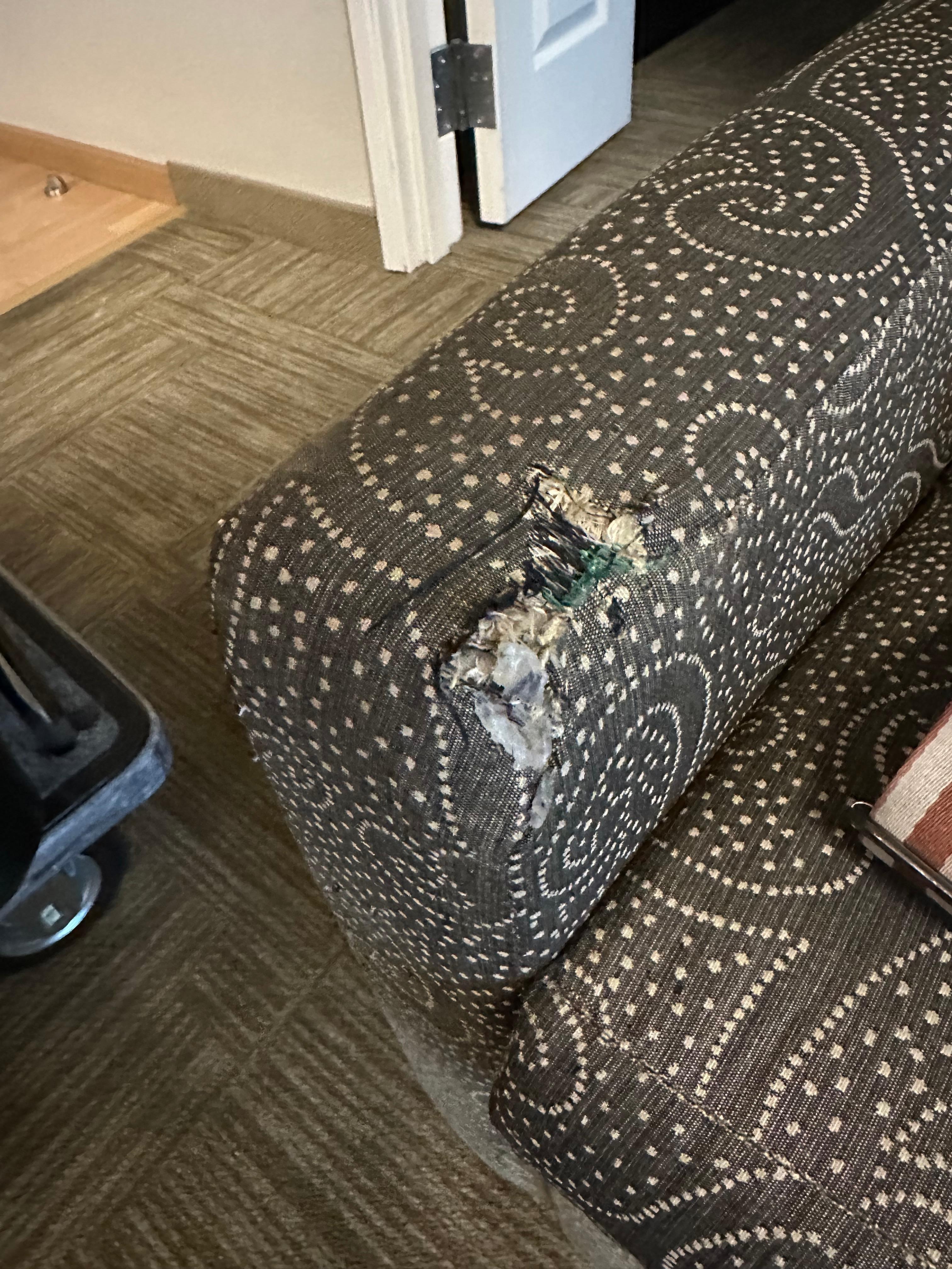 A huge, poorly repaired gash in the couch. 