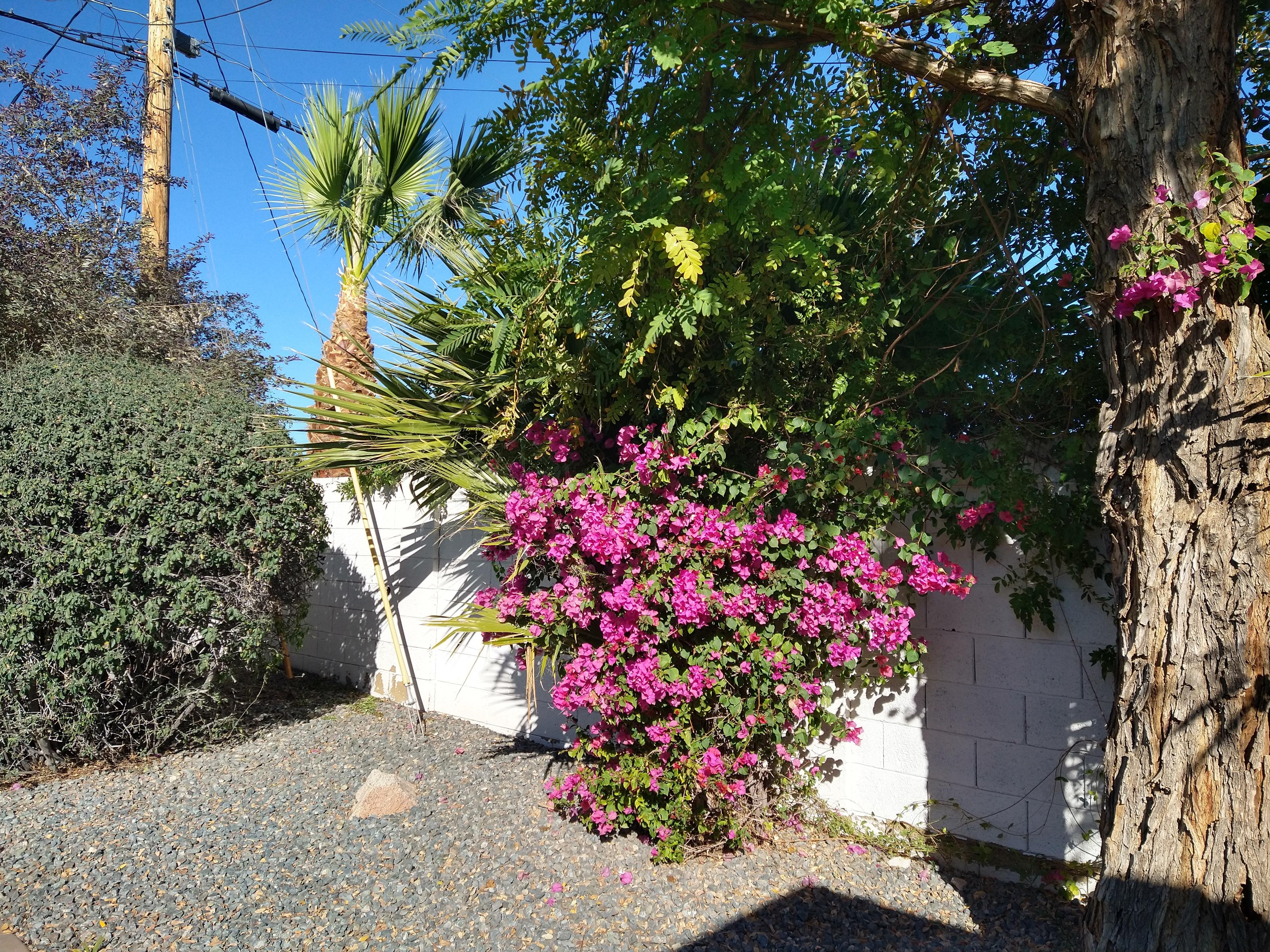 Landscaping was nice.