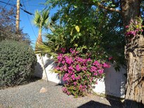 Landscaping was nice.