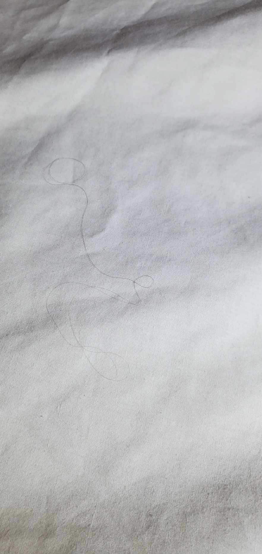 Hair on sheets