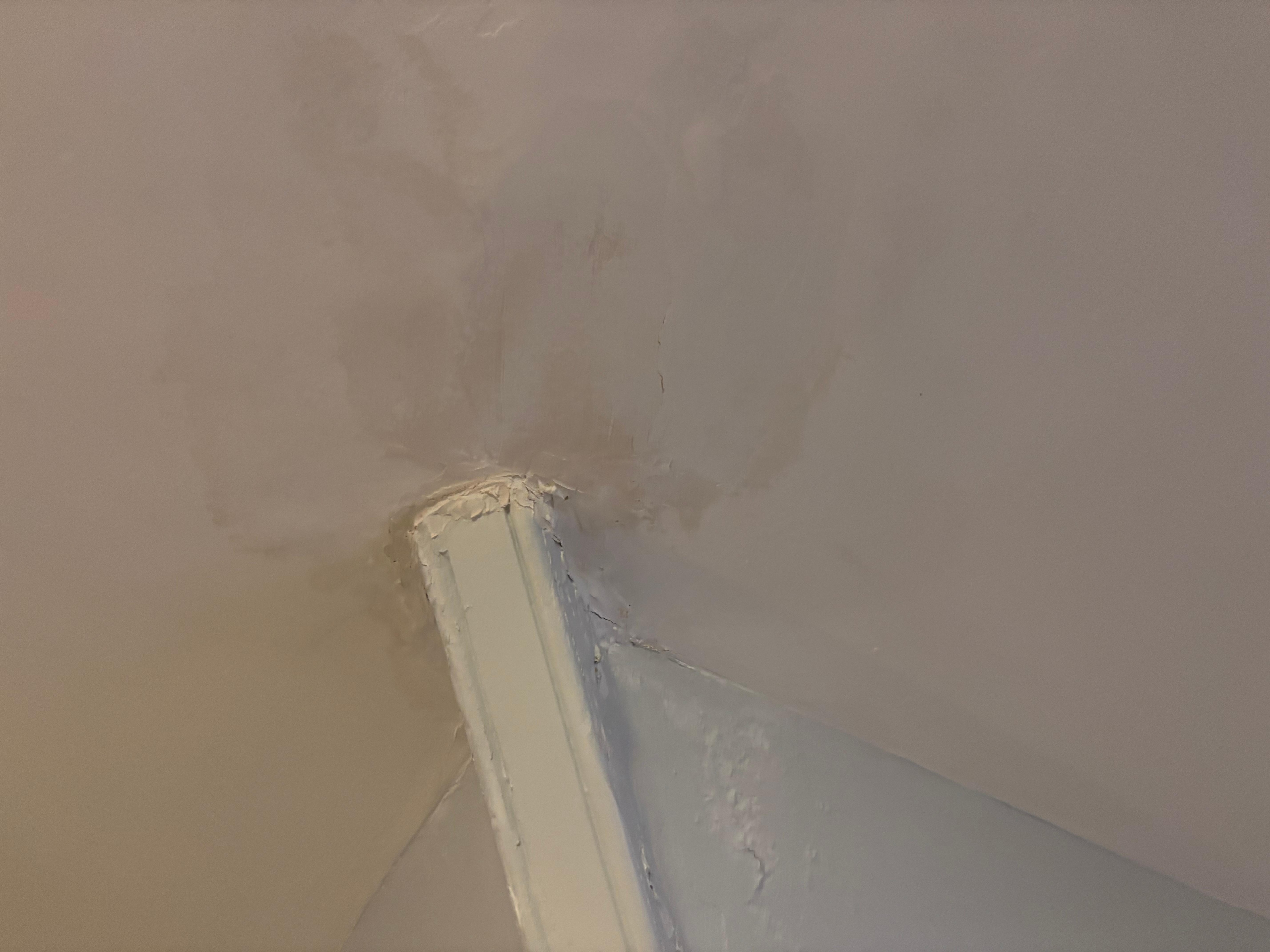 Damp ceiling 