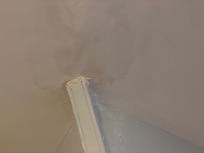 Damp ceiling