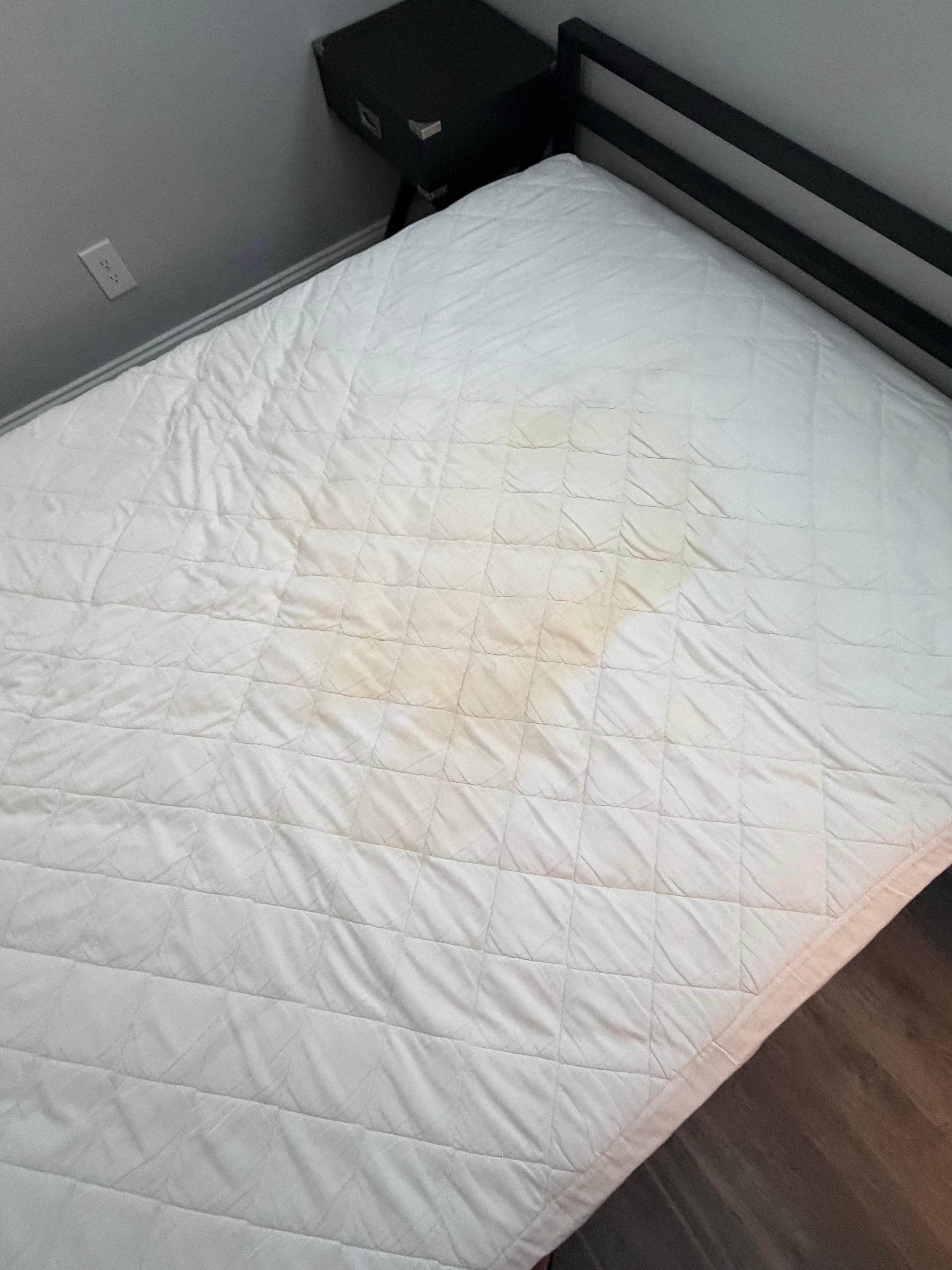 mattress urine stains