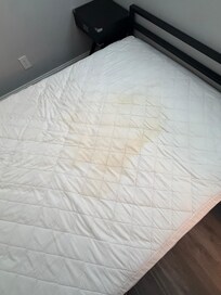mattress urine stains